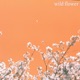 wild flower Single