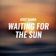 Waiting for the Sun Single