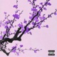 Tokyo Single