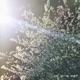 One spring night Single