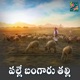 Palle Bangaru Thalli Single