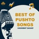 Best of Pushto Songs EP