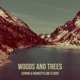 Woods and Trees Single