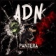 ADN Single