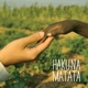 Hakuna Matata feat SBS 아프리카 희망원정대 Single