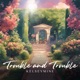 Trouble and Trouble Single