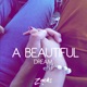A Beautiful Dream Single