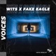 Voices Single