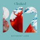 Different Land Single