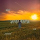 nici ca mi a pasat vreodata