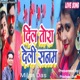 Dil Tora deli sanam feat Vivek Mirdha Single