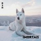 Imortais feat R2H Single