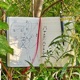 intro2mimicry