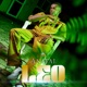 Leo Single