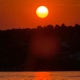 Under The Red Sun Single