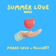 Summer Love Remix Single