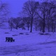 Winter Single
