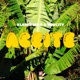 Aceite feat Vinicity Single