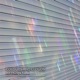 All Things New Single