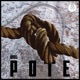 Pote Single