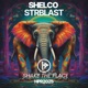 Shake The Place Single
