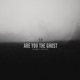 Are You The Ghost feat Bailey Jehl Single