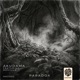 Paradox Single