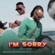 I m Sorry Single