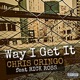 Way I Get It feat Rick Ross Single