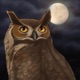 Great Horned Owl Single