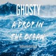 A Drop in the Ocean Instrumentals