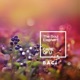 Care of U Single