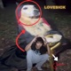 LOVESICK Single