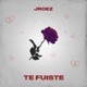 Te Fuiste Single