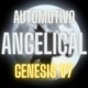 Automotivo Angelical Génesis V7 Single