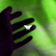 Take My Hand Single