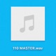 110 MASTER Single