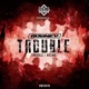 Trouble Single