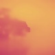 Ghosts Single