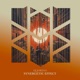 Synergetic Effect Single
