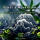 Defiant Consciousness Single