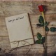 hope you don t mind Single