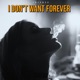 I Don t Want Forever Single