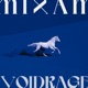 VOIDRAGE Single