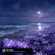 Love Tonight Single