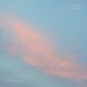 i ll follow you feat Faux Show Single