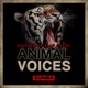 Animal Voices Single