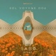 Sol Voyage 006 Azadi DJ Mix