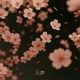 Datsuzoku Single