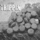 Trippin feat Bhris Locxo Single